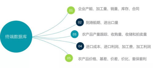 全国玉米、大豆、小麦价格数据及后期走势分析——基于计算机软件技术开发