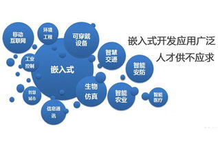 嵌入式系统发展前景广阔，计算机软件技术开发者需关注